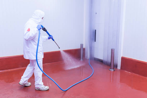 Best House Exterior Washing  in South Run, VA
